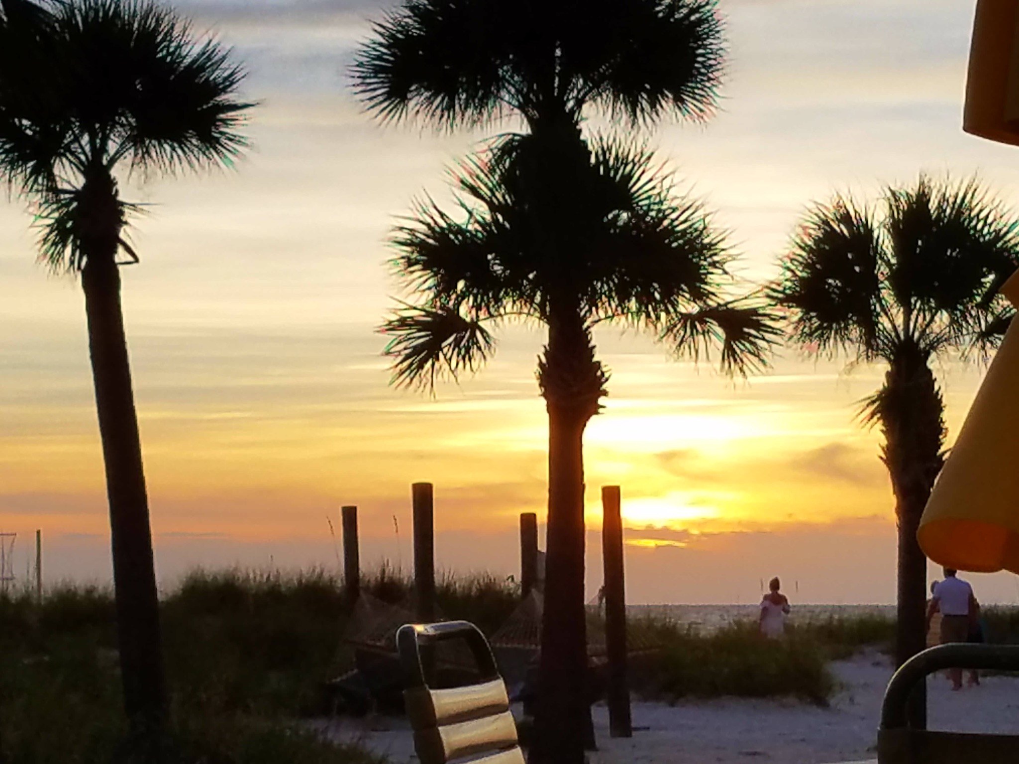 Palm trees silhouetted against a golden beach sunset
