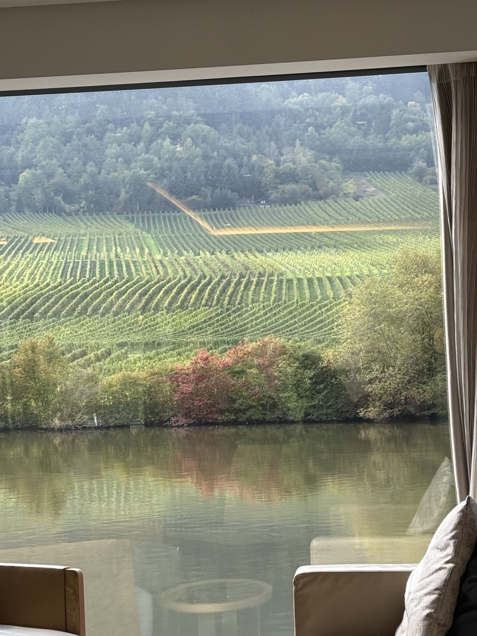 Vineyards along a European river